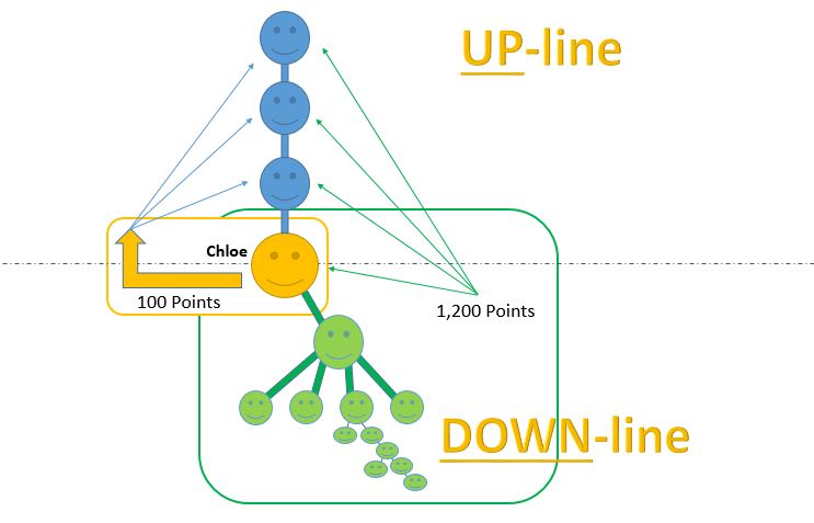 infograph depicting how points work in network marketing