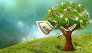 money tree of a passive income stream