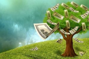 money tree producing cash